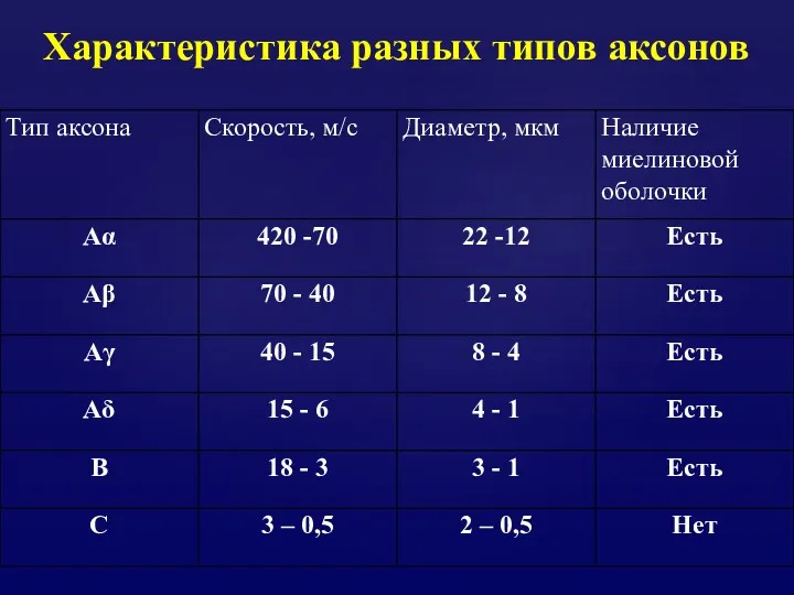 Характеристика разных типов аксонов