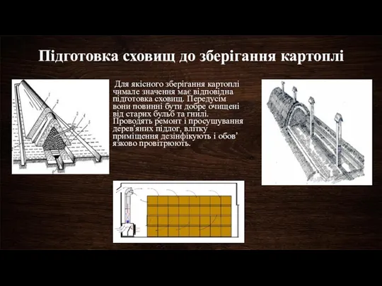 Підготовка сховищ до зберігання картоплі Для якісного зберігання картоплі чимале