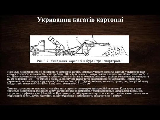 Укривання кагатів картоплі Найбільш поширений спосіб двошарового укривання кагатів. При