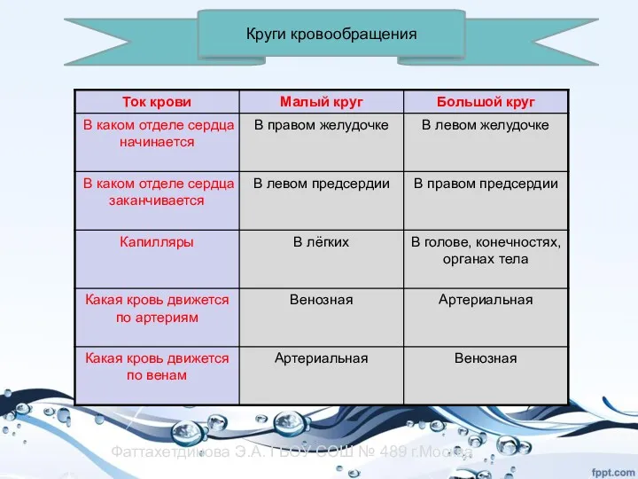 Круги кровообращения Фаттахетдинова Э.А. ГБОУ СОШ № 489 г.Москва