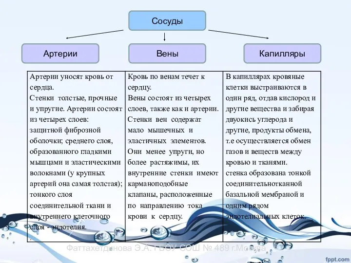 Сосуды Артерии Вены Капилляры Фаттахетдинова Э.А. ГБОУ СОШ № 489 г.Москва