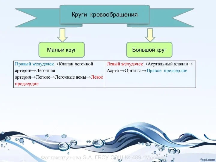 Круги кровообращения Малый круг Большой круг Фаттахетдинова Э.А. ГБОУ СОШ № 489 г.Москва