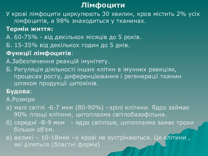 Лімфоцити У крові лімфоцити циркулюють 30 хвилин, кров містить 2%