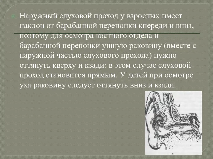 Наружный слуховой проход у взрослых имеет наклон от барабанной перепонки