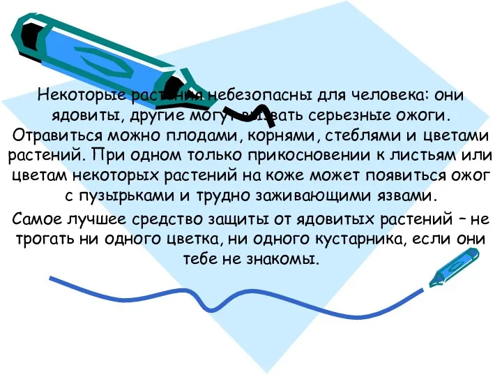 Некоторые растения небезопасны для человека: они ядовиты, другие могут вызвать