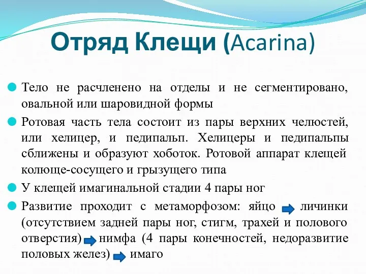 Отряд Клещи (Acarina) Тело не расчленено на отделы и не