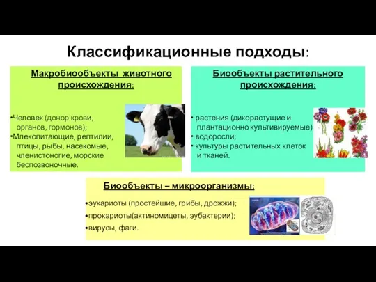 Классификационные подходы: Макробиообъекты животного происхождения: Человек (донор крови, органов, гормонов);