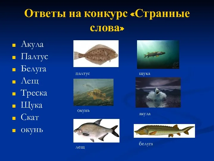 Ответы на конкурс «Странные слова» Акула Палтус Белуга Лещ Треска