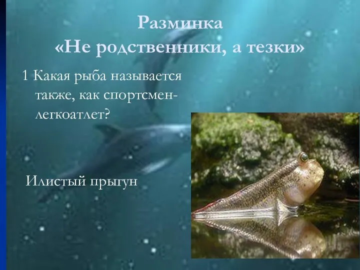 Разминка «Не родственники, а тезки» 1 Какая рыба называется также, как спортсмен-легкоатлет? Илистый прыгун