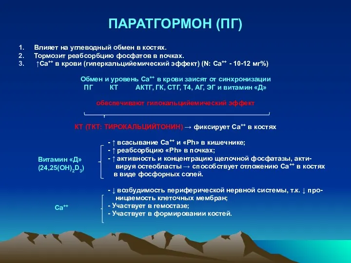 ПАРАТГОРМОН (ПГ) Влияет на углеводный обмен в костях. Тормозит реабсорбцию