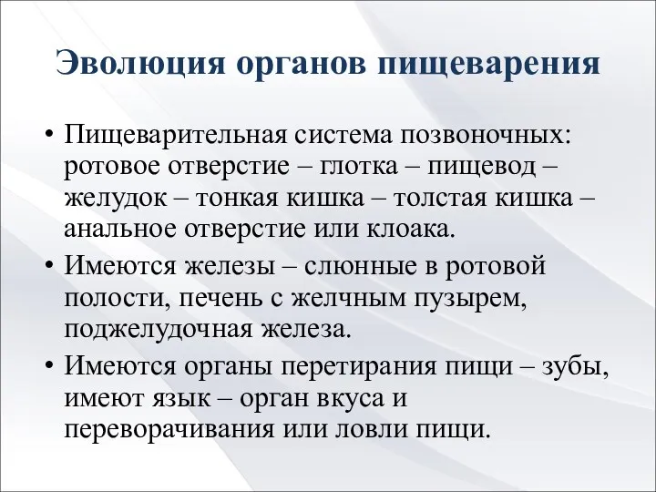 Эволюция органов пищеварения Пищеварительная система позвоночных: ротовое отверстие – глотка