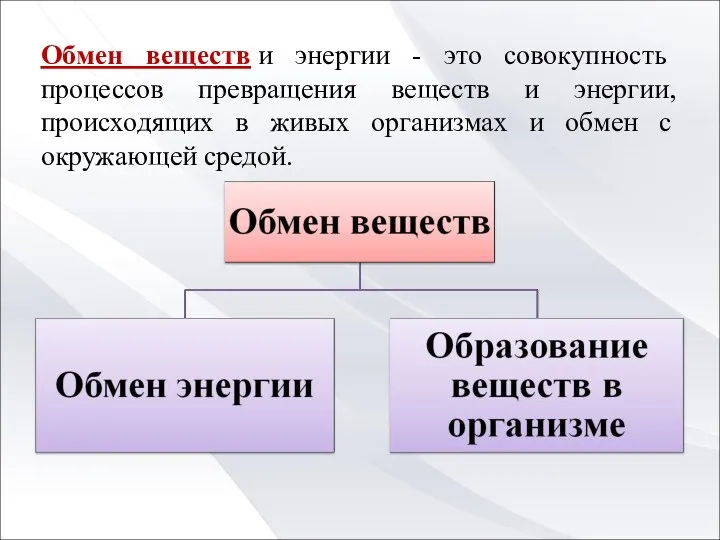 Обмен веществ и энергии - это совокупность процессов превращения веществ