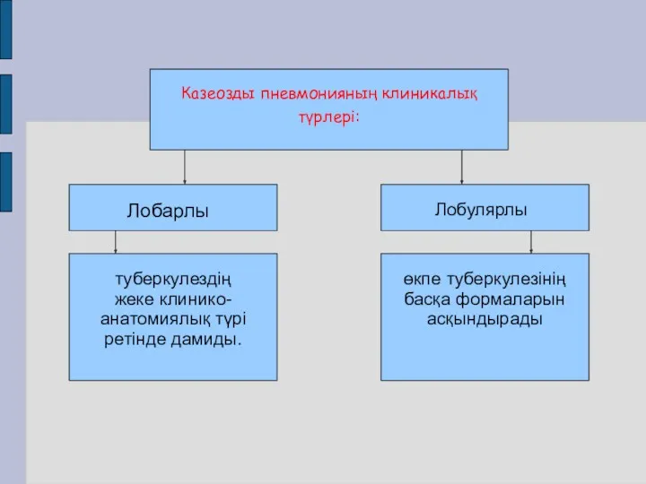 Казеозды пневмонияның клиникалық түрлері: Лобарлы Лобулярлы туберкулездің жеке клинико-анатомиялық түрі