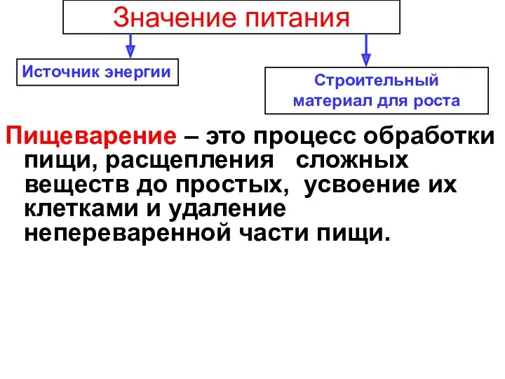 Значение питания Пищеварение – это процесс обработки пищи, расщепления сложных