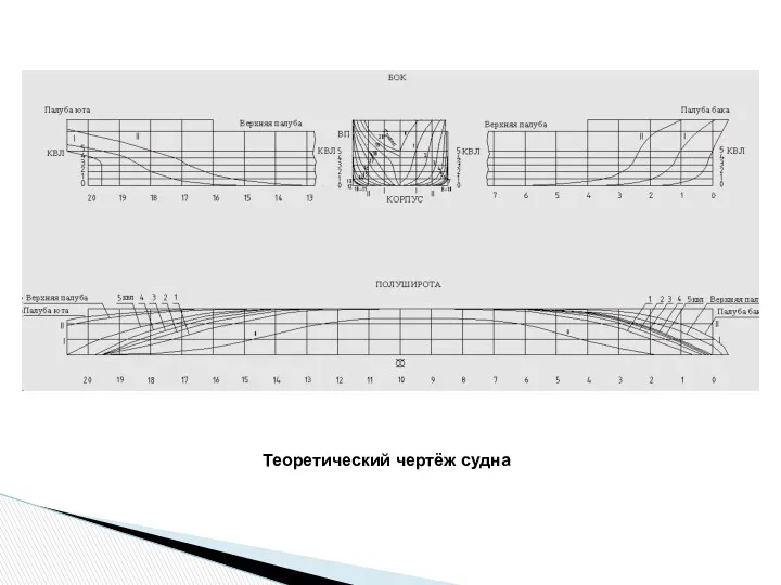 Теоретический чертёж судна