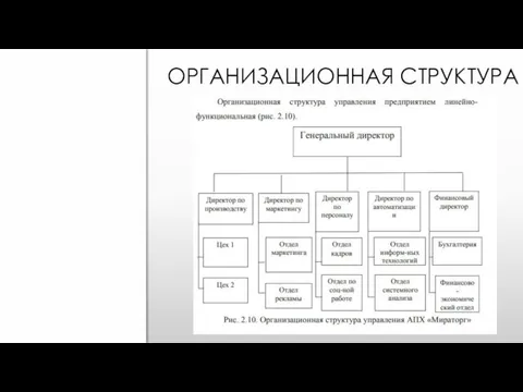 ОРГАНИЗАЦИОННАЯ СТРУКТУРА