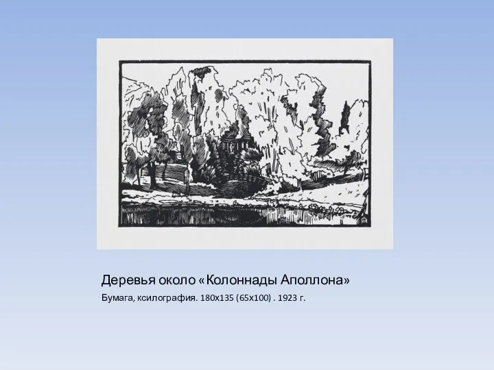 Деревья около «Колоннады Аполлона» Бумага, ксилография. 180х135 (65х100) . 1923 г.