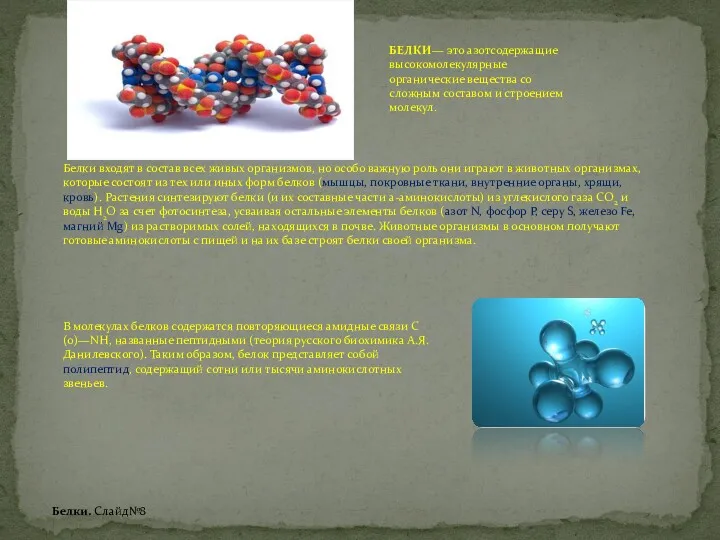 Белки входят в состав всех живых организмов, но особо важную