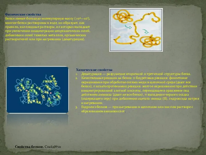 Химические свойства Денатурация — разрушение вторичной и третичной структуры белка.