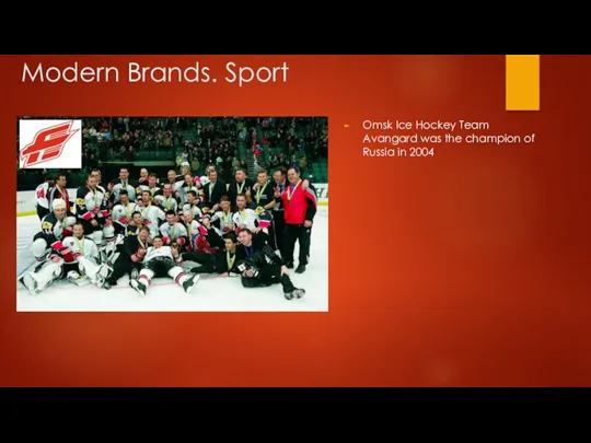 Modern Brands. Sport Omsk Ice Hockey Team Avangard was the champion of Russia in 2004