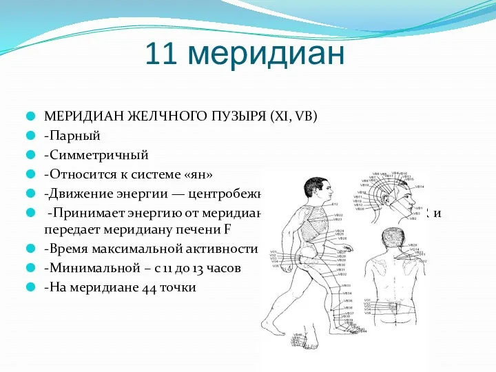 11 меридиан МЕРИДИАН ЖЕЛЧНОГО ПУЗЫРЯ (XI, VB) -Парный -Симметричный -Относится