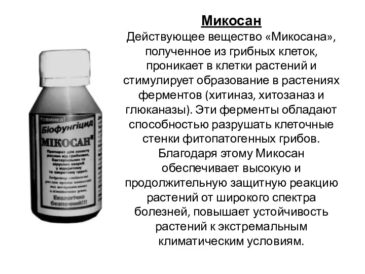 Микосан Действующее вещество «Микосана», полученное из грибных клеток, проникает в