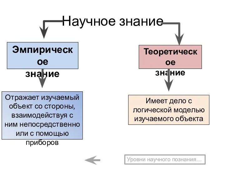 Научное знание Эмпирическое знание Теоретическое знание Отражает изучаемый объект со