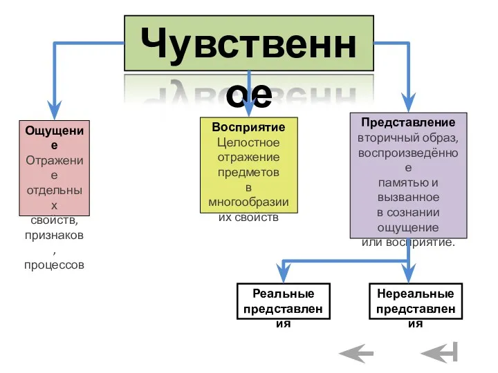 Ощущение Отражение отдельных свойств, признаков, процессов Чувственное Восприятие Целостное отражение