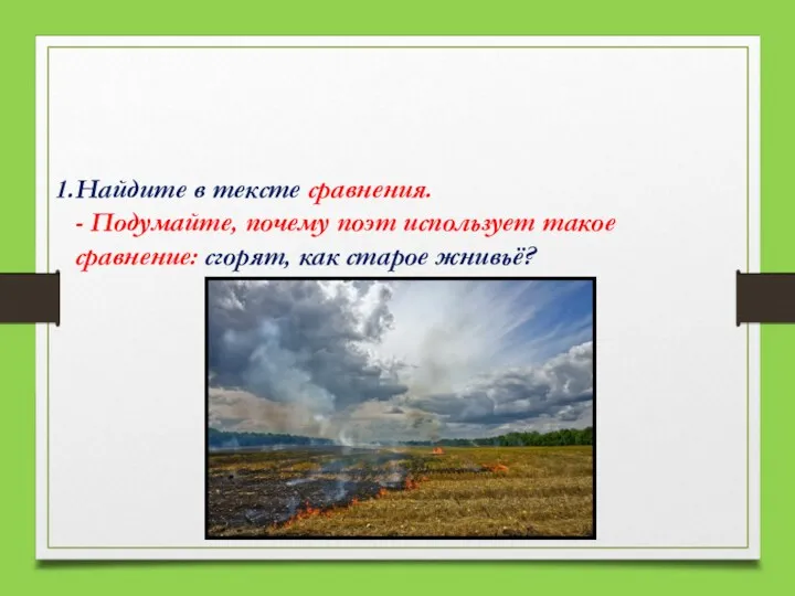 Найдите в тексте сравнения. - Подумайте, почему поэт использует такое сравнение: сгорят, как старое жнивьё?