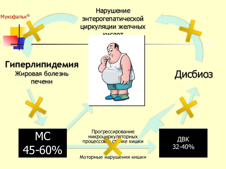 МС 45-60% ДВК 32-40% Нарушение энтерогепатической циркуляции желчных кислот Дисбиоз