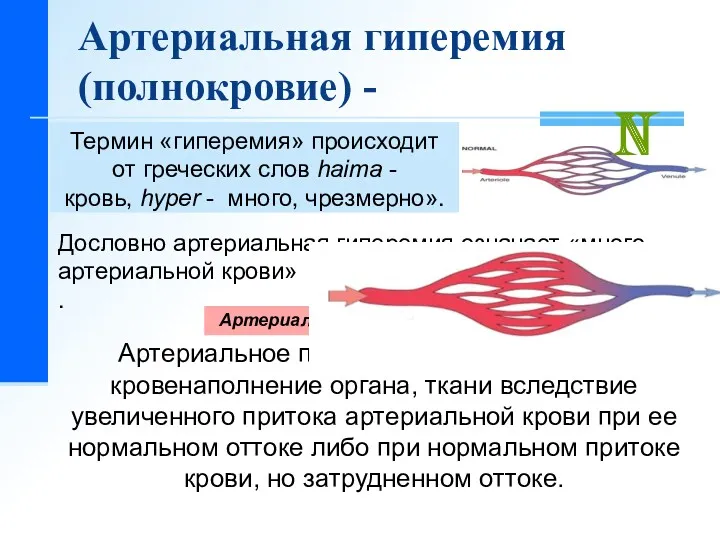 Термин «гиперемия» происходит от греческих слов haima - кровь, hyper