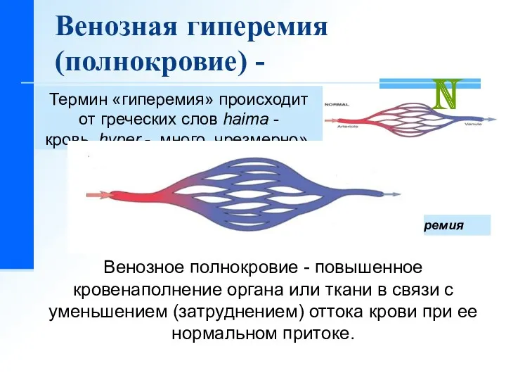 Термин «гиперемия» происходит от греческих слов haima - кровь, hyper