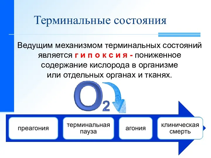 Терминальные состояния Ведущим механизмом терминальных состояний является г и п