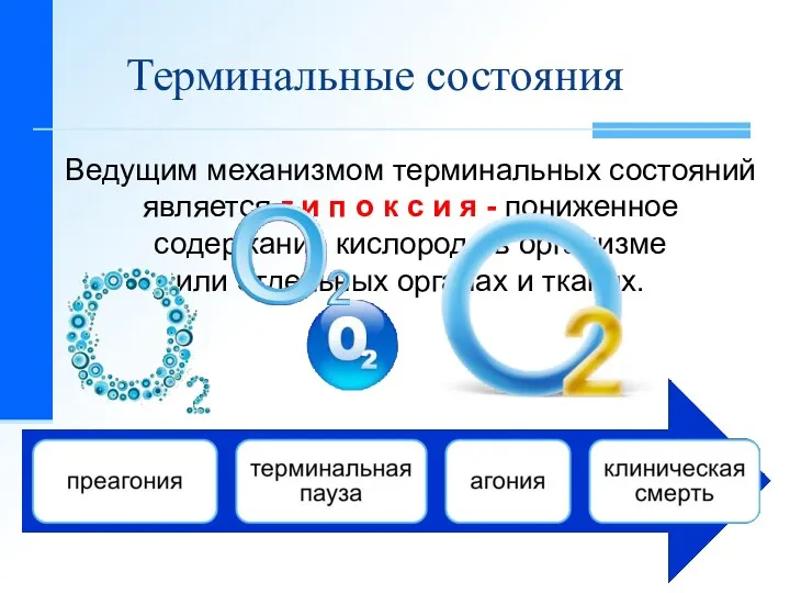 Терминальные состояния Ведущим механизмом терминальных состояний является г и п