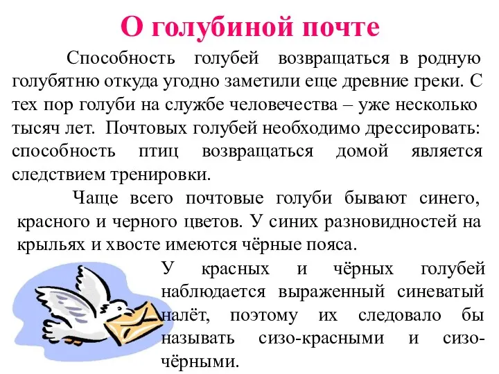 Способность голубей возвращаться в родную голубятню откуда угодно заметили еще