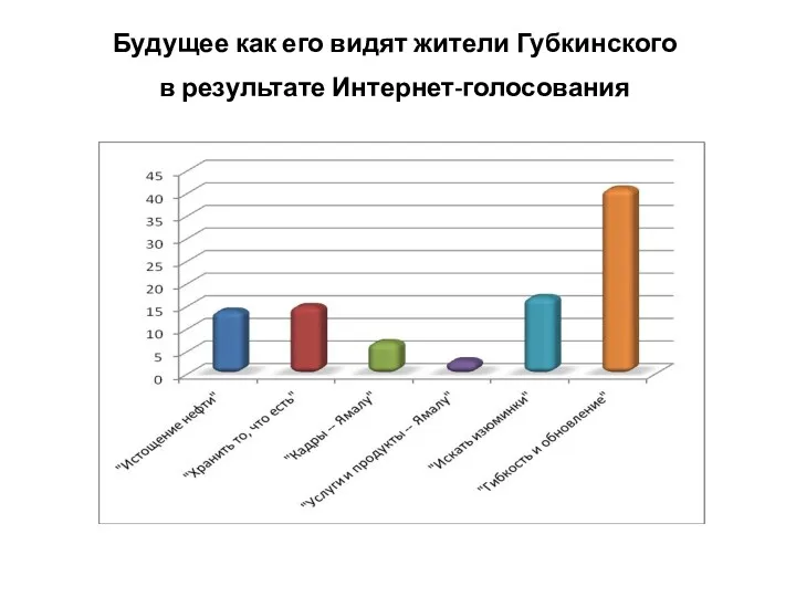 Будущее как его видят жители Губкинского в результате Интернет-голосования