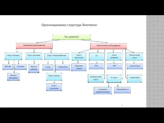 Организационная структура 5karmanov