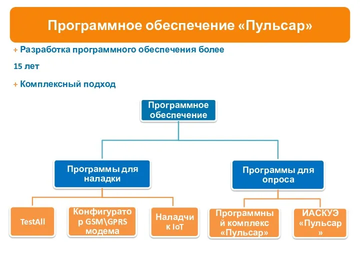 + Разработка программного обеспечения более 15 лет + Комплексный подход Программное обеспечение «Пульсар»