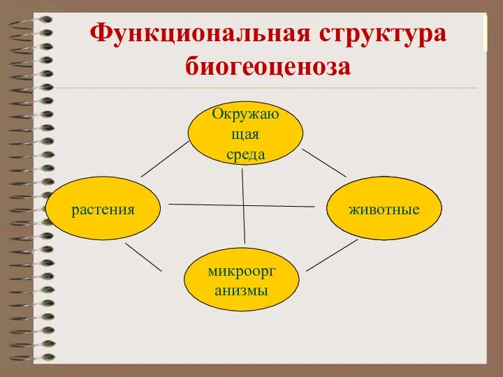 растения Функциональная структура биогеоценоза растения Окружающая среда микроорганизмы животные