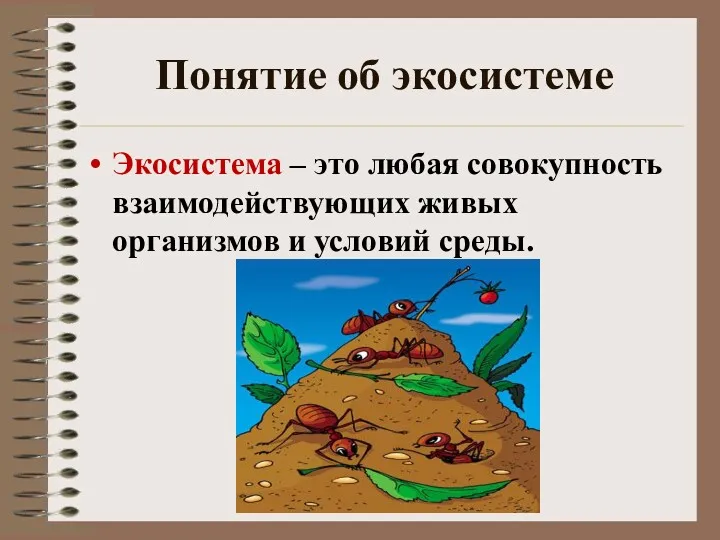 Понятие об экосистеме Экосистема – это любая совокупность взаимодействующих живых организмов и условий среды.