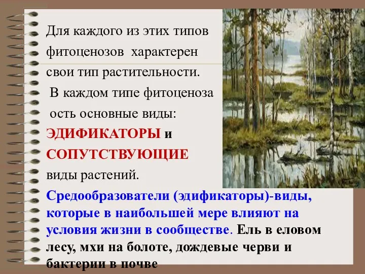 Для каждого из этих типов фитоценозов характерен свои тип растительности.