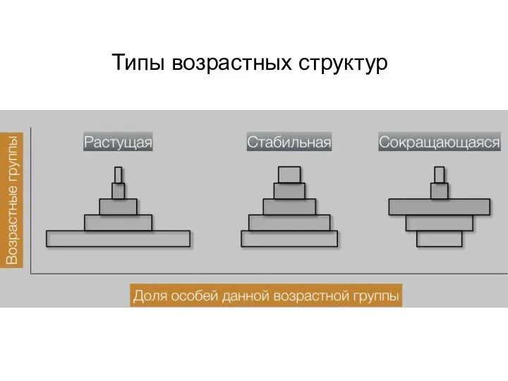 Типы возрастных структур