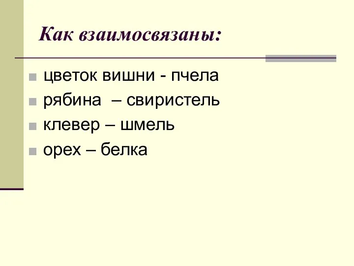 Как взаимосвязаны: цветок вишни - пчела рябина – свиристель клевер – шмель орех – белка