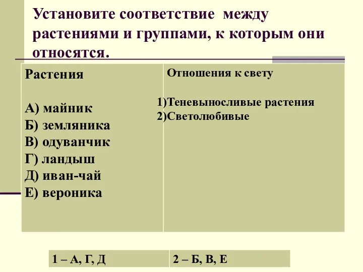 Установите соответствие между растениями и группами, к которым они относятся.