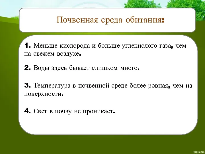 Почвенная среда обитания: 1. Меньше кислорода и больше углекислого газа,