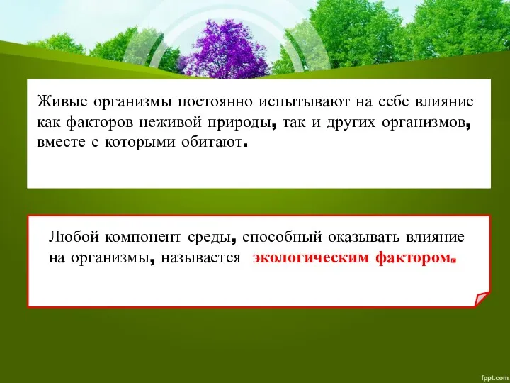 Живые организмы постоянно испытывают на себе влияние как факторов неживой природы, так и