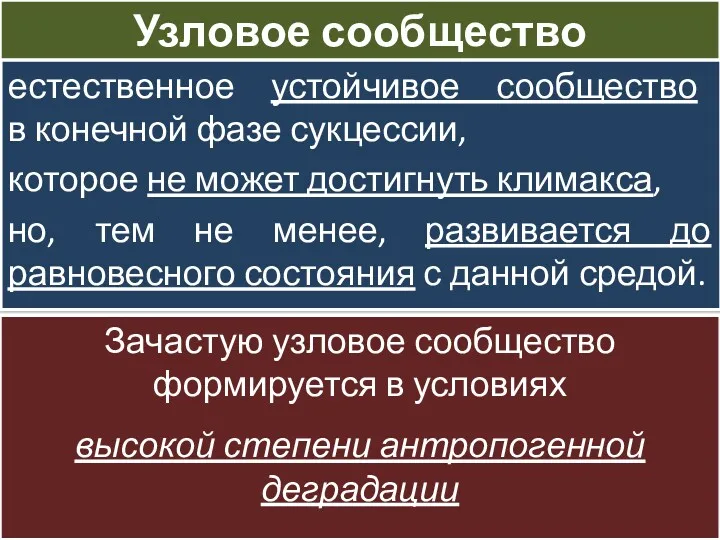 Узловое сообщество естественное устойчивое сообщество в конечной фазе сукцессии, которое