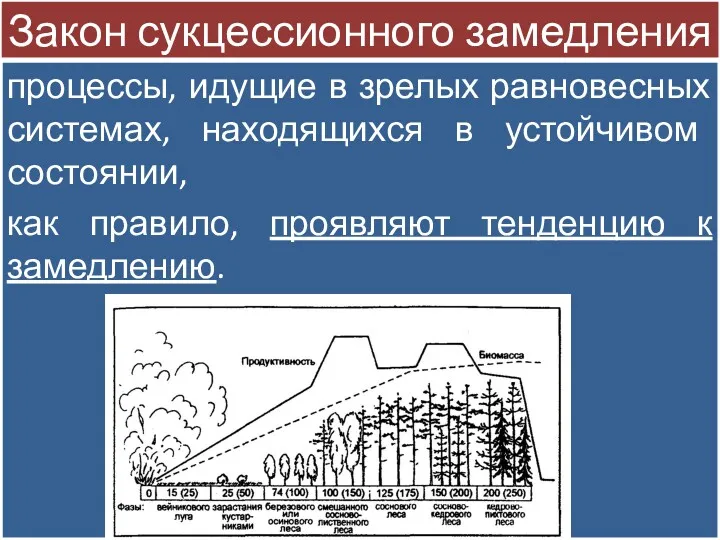 Закон сукцессионного замедления процессы, идущие в зрелых равновесных системах, находящихся