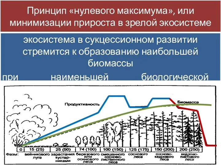 Принцип «нулевого максимума», или минимизации прироста в зрелой экосистеме экосистема