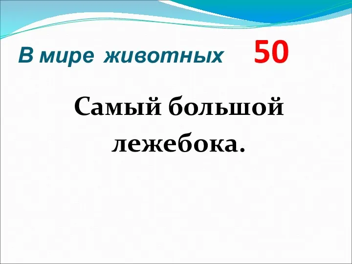 В мире животных 50 Самый большой лежебока.